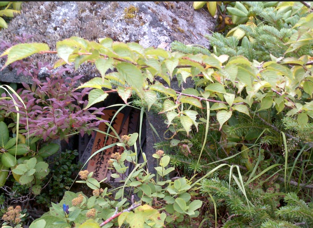 Re: 大真名子山～小真名子山