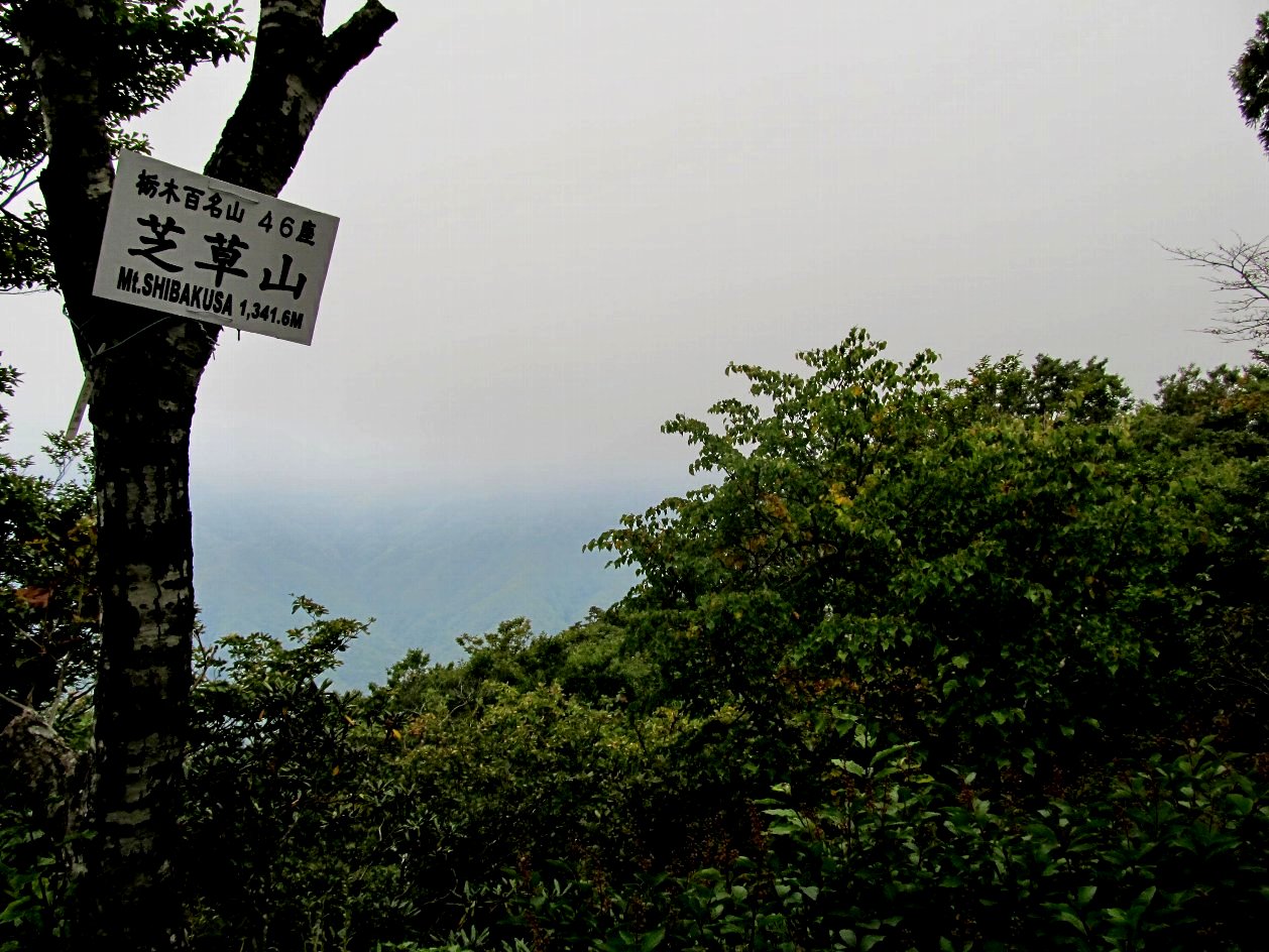 芝草山