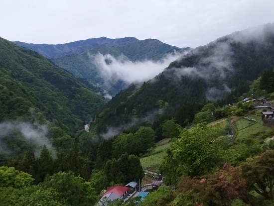 白泰山
